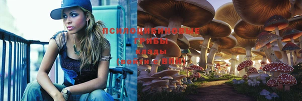 Альфа ПВП Магас